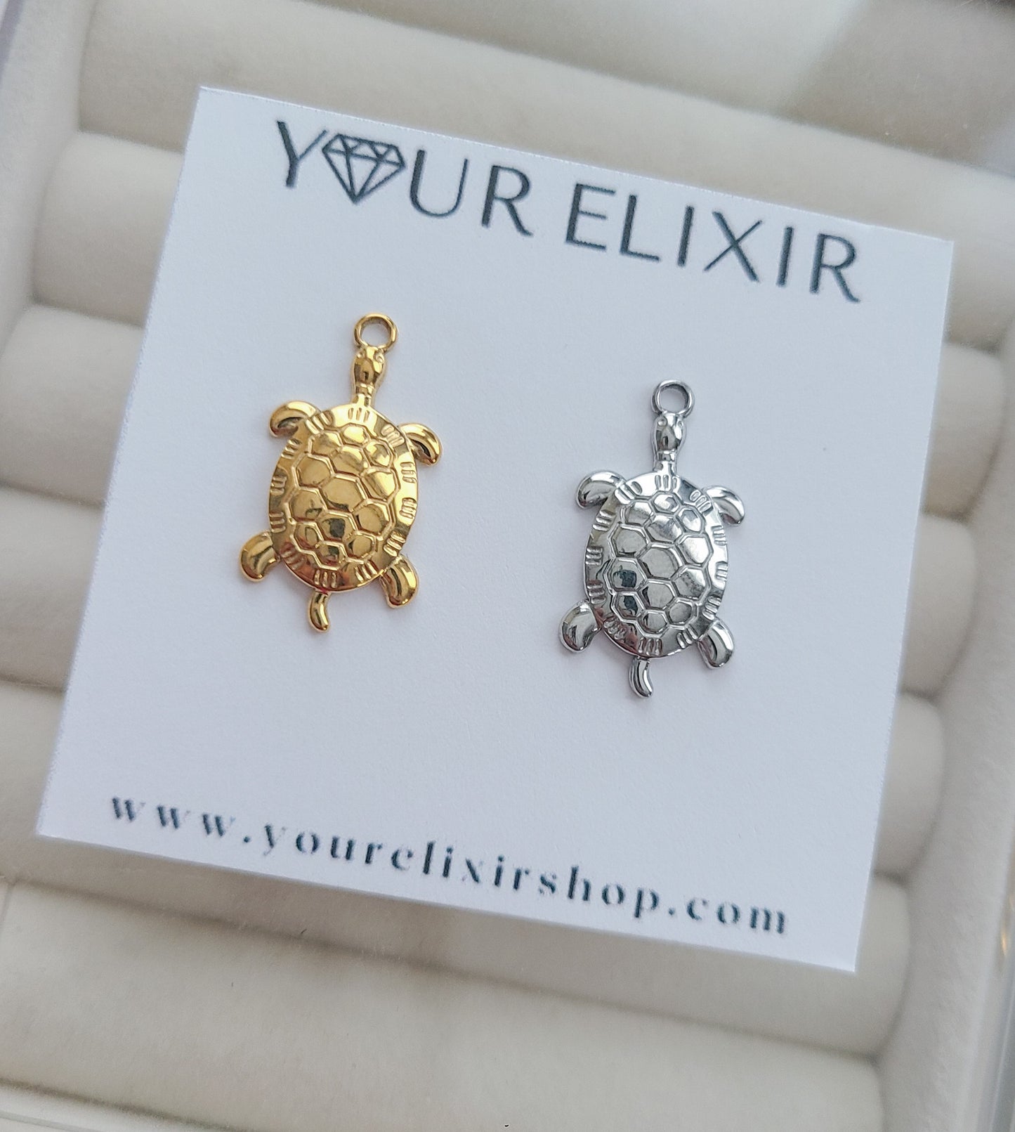 Charm de tortuga 🐢