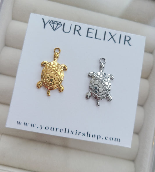 Turtle ๐ข charm