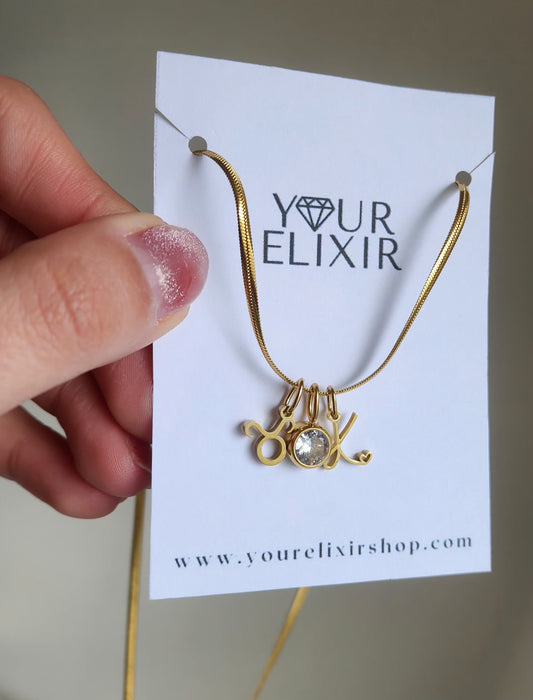 Snake bone **Necklace Only**