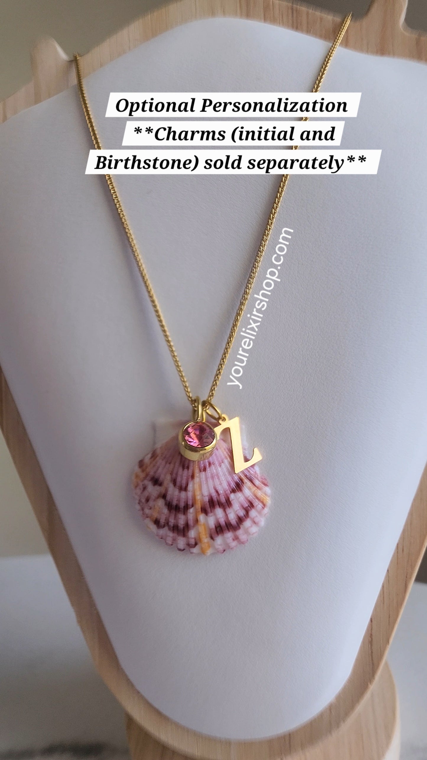 Natural Seashell Gold Necklace