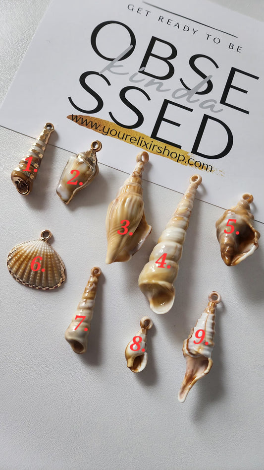 Sunset shells charm