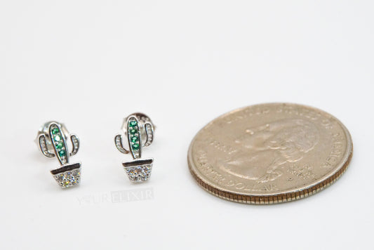 Pendientes de cactus en plata de ley