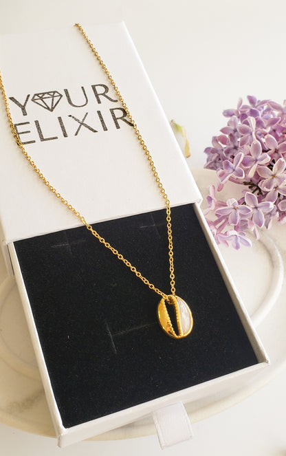 Collar de conchas