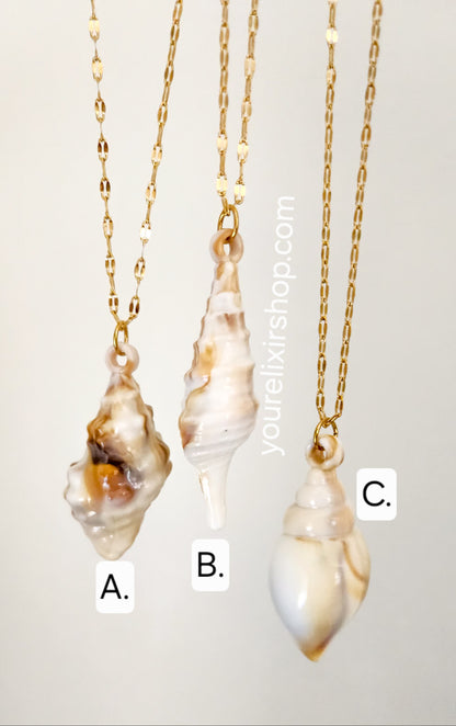 Ocean Kiss Seashell Necklace