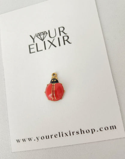 Gold Lady Bug 🐞 Charm