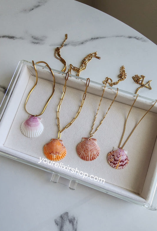 Natural Seashell Gold Necklace
