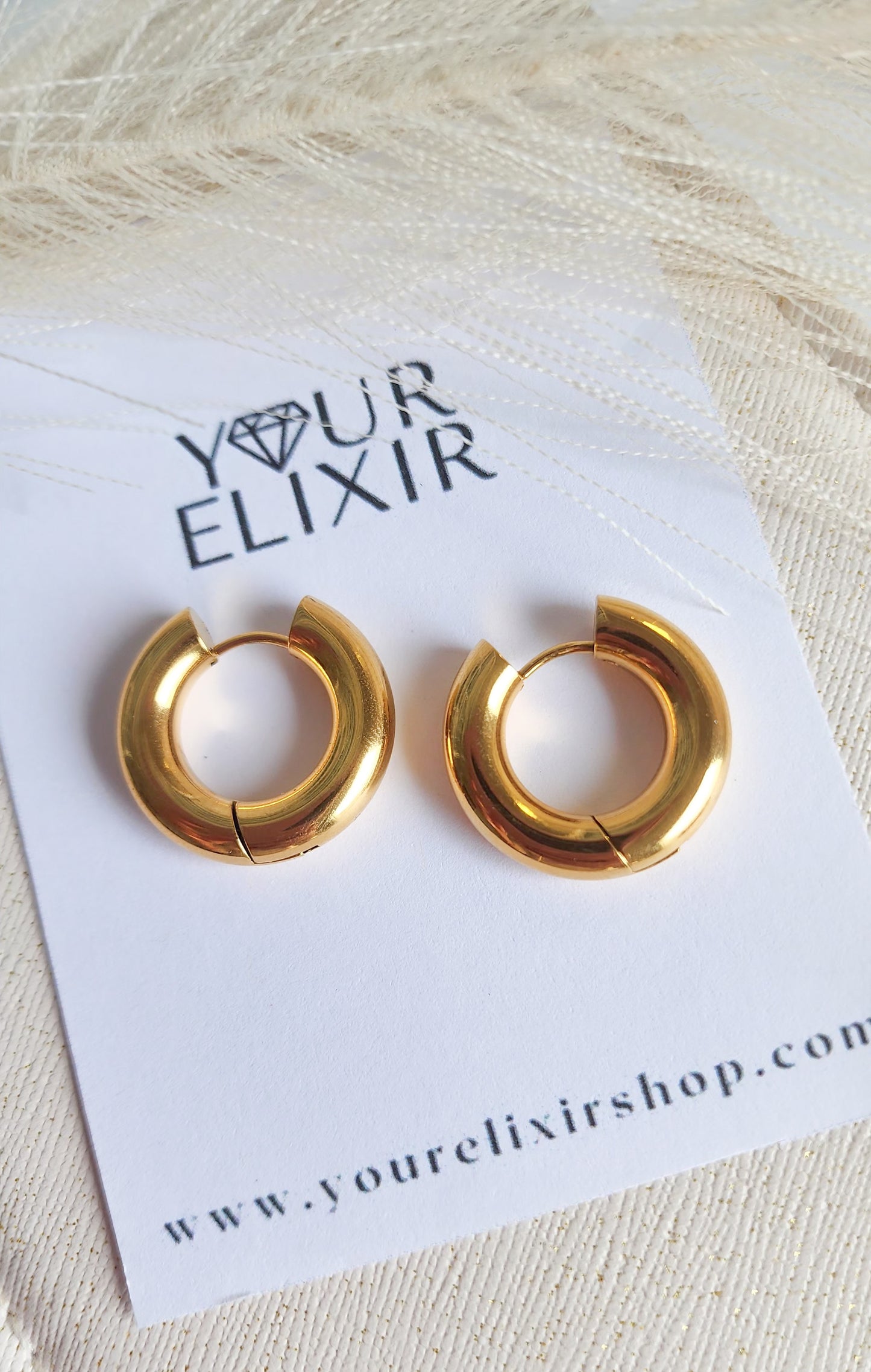 Classic Hoops earrings
