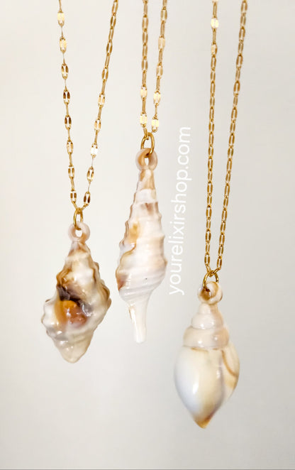 Ocean Kiss Seashell Necklace