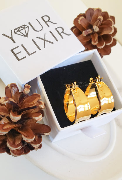 Dorado hoop earrings